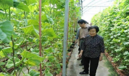 淮北爆料吃瓜事件是真的吗,真相揭秘还是网络谣言？